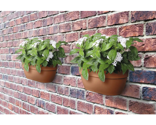 Zwei Wandblumentöpfe mit Pflanzen und weißen Blüten an einer Ziegelwand