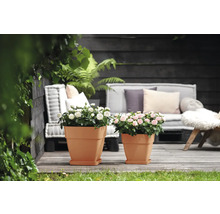 Blumentopf Elho Vibia Kunststoff 36 x 36,4 x 35,6 cm eckig braun