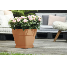 Blumentopf Elho Vibia Kunststoff 36 x 36,4 x 35,6 cm eckig braun