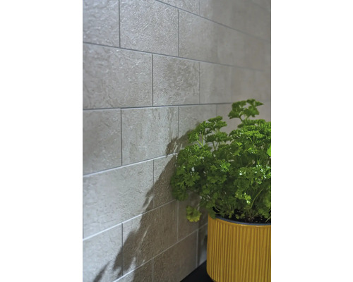 Wandfliesen im Steinlook mit Kräutertopf