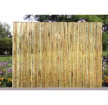 Bambuszaun als Sichtschutz im Garten