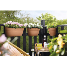 Blumenampel Elho Vibia Campana Kunststoff 46 x 24,1 x 26,5 cm braun