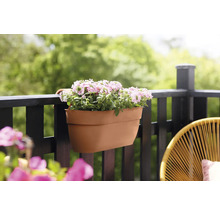 Blumenampel Elho Vibia Campana Kunststoff 46 x 24,1 x 26,5 cm braun