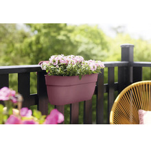 Blumenkasten mit pinkfarbenen Blüten am Balkongeländer