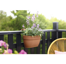 Blumenkasten aus Kunststoff mit Lavendel auf einem Balkon