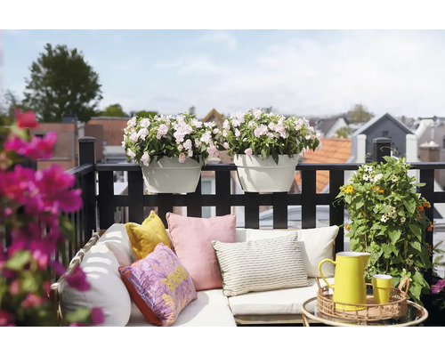 Dekorierter Balkon mit Blumen, Kissen und Tisch