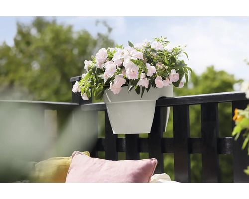 Blumenkasten mit rosa Blumen, der an einem Balkongeländer befestigt ist