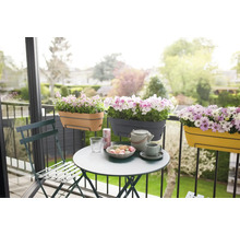 Blumenkasten Elho Vibia Campana Kunststoff 70 x 26 x 17,7 cm braun