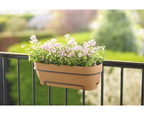 Blumenkasten mit Blumen am Balkongeländer