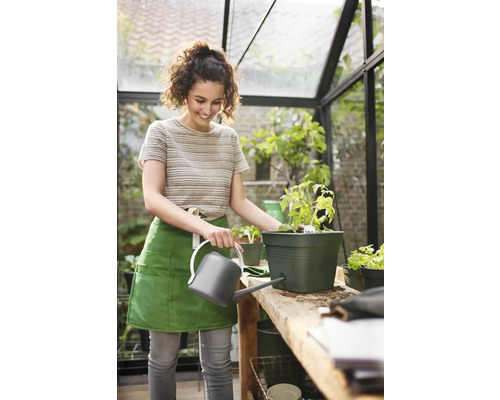Frau gießt Tomatenpflanze in einem Topf mit einer Gießkanne in einem Gewächshaus.