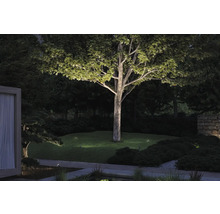 Beleuchteter Garten mit Baum und Rasenflächen