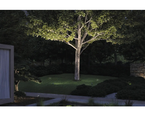 Beleuchteter Garten mit Baum und Rasenflächen