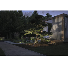 Beleuchteter Garten mit Baum, Gehweg und Pavillon am Abend