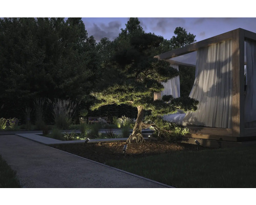 Beleuchteter Garten mit Baum, Gehweg und Pavillon am Abend