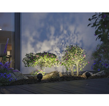 Garten mit Pflanzen und Aussenleuchten für eine stimmungsvolle Beleuchtung
