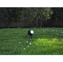 Garten Szene mit einem einzelnen runden Gartenstrahler im Gras