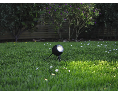 Garten Szene mit einem einzelnen runden Gartenstrahler im Gras