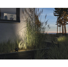 Garten mit Ziergräsern, Hauswand und Außenbeleuchtung