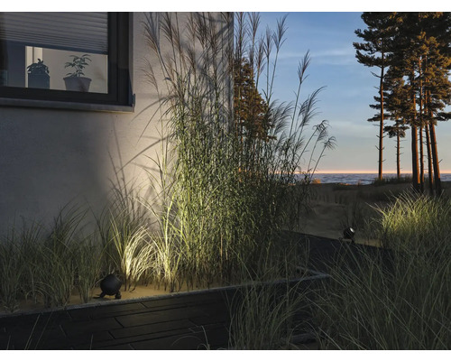 Garten mit Ziergräsern, Hauswand und Außenbeleuchtung