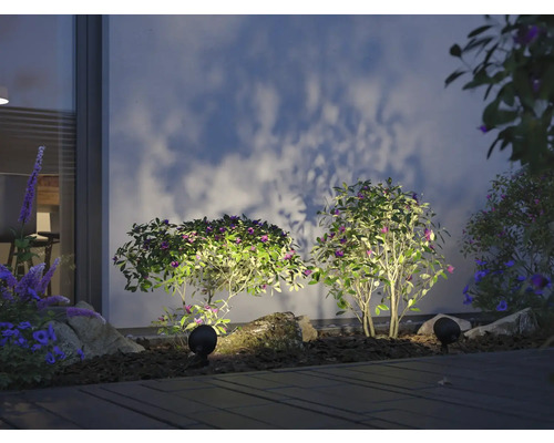 Szene mit Gartenbeleuchtung, Pflanzen und einer Hauswand