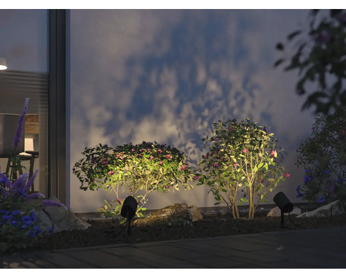 Garten mit beleuchteten Büschen und Wegbeleuchtung