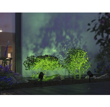 Beleuchtete Gartenanlage mit Strauch und Scheinwerfer