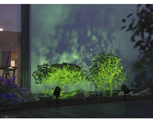 Beleuchtete Gartenanlage mit Strauch und Scheinwerfer