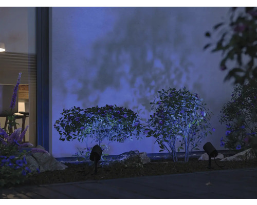 Gartenbeleuchtung mit Strauch und Scheinwerfer