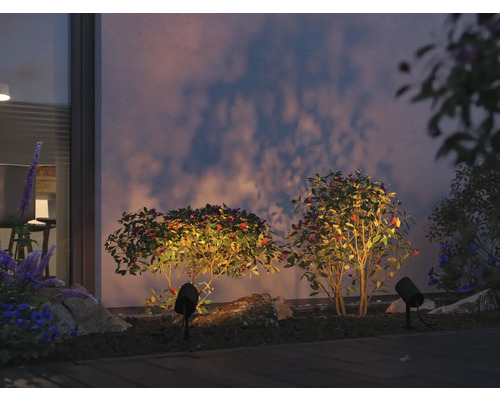 Außenbereich mit Pflanzen und Gartenstrahlern