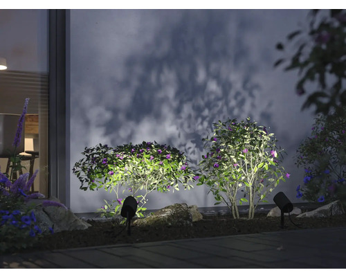 Szene mit Gartenbeleuchtung zur Akzentuierung von Pflanzen im Außenbereich