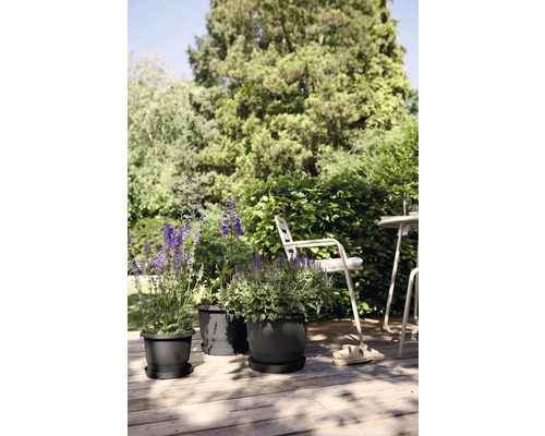 Drei Pflanzgefäße mit Untersetzer und Bepflanzung auf einer Holzterrasse mit Gartenmöbeln im Hintergrund.