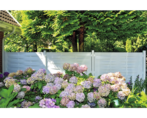 Gartenansicht mit weißem Sichtschutzzaun und blühenden Hortensien