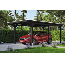 Carport aus Holz mit Auto im Garten