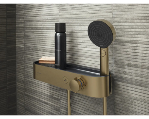 Duschsystem mit Ablage für Badutensilien und Handbrause