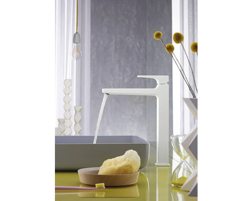 Modernes Badezimmer mit Aufsatzwaschbecken, Armatur und Dekoration