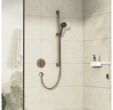 Duscharmatur mit Handbrause und Ablage im Badezimmer