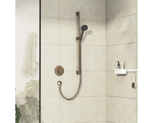 Duscharmatur mit Handbrause und Ablage im Badezimmer