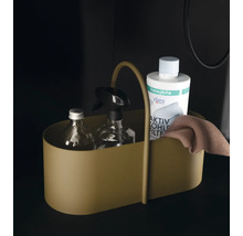 Reinigungsmittel in einem Organizer