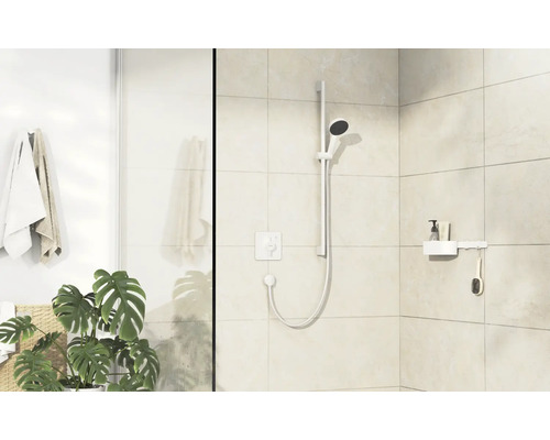 Helles Badezimmer mit Dusche, Handtüchern, Duschregal und Zimmerpflanze