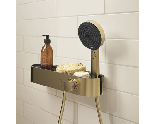 Brauseset mit Ablage, Seife, Luffaschwamm und Spender vor weißem Fliesenhintergrund