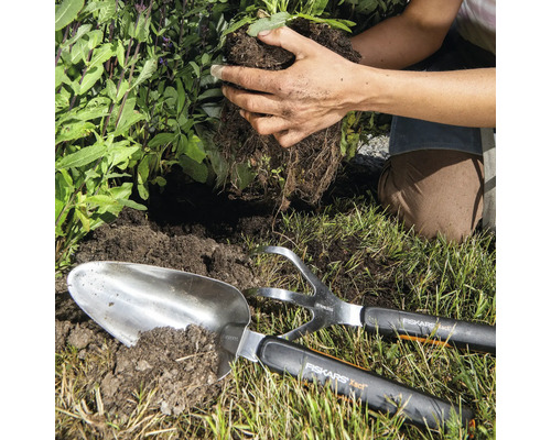 Gartenarbeitsszene mit Pflanzschaufel, Grubber und Person, die eine Pflanze einsetzt
