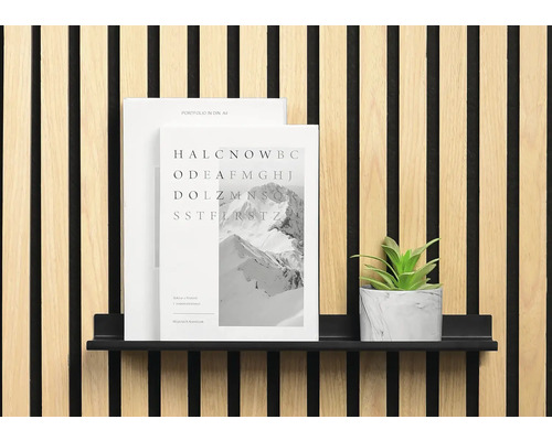 Dekorative Wandverkleidung mit Ablagefläche, Büchern und Pflanze als Dekoration