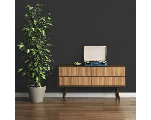 Einrichtungsszene mit Kommode, Schallplattenspieler und Zimmerpflanze.