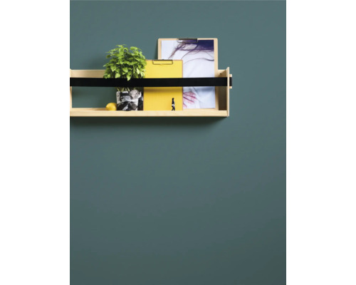 Wandregal aus Holz mit Pflanze, Zitrone und Dokumenten