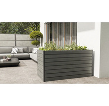 Hochbeet aus Holzverbundstoff auf einer Terrasse mit Pflanzen