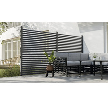 Szene mit Sichtschutzzaun, Gartensitzgruppe und Pflanze im Topf