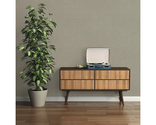 Wohnraum mit Kommode, Zimmerpflanze und Schallplattenspieler