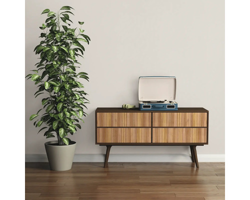 Zimmerpflanze im Topf neben Kommode mit Schallplattenspieler