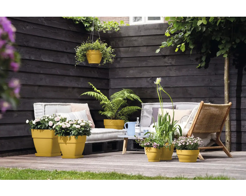 Gemütliche Gartenszene mit Pflanzen in Pflanzgefäßen, Sitzmöbeln und Holzzaun