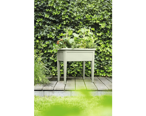 Hochbeet aus Kunststoff mit Pflanzen auf einer Holzterrasse vor einer grünen Hecke